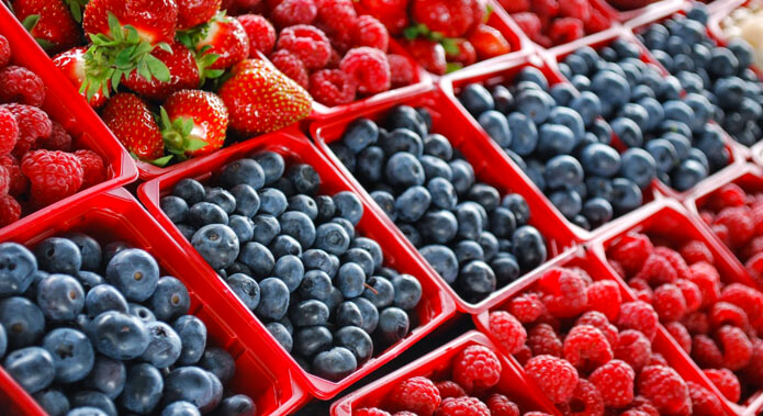 Export : La saga des fruits rouges marocains à l’international [INTÉGRAL]