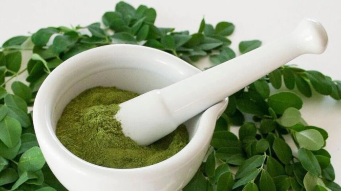 Moringa : Plante « miracle » qui fait le buzz