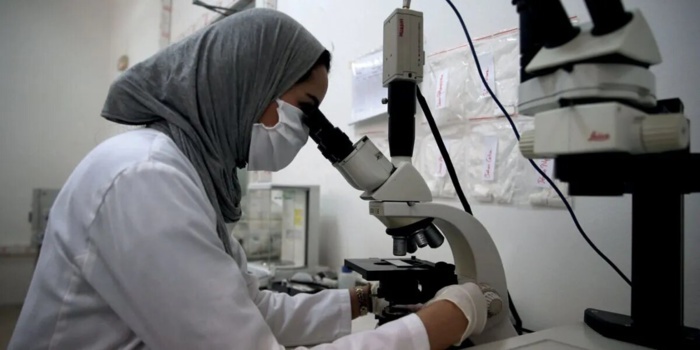 Recherche scientifique : Comment le nouveau fonds de soutien sauvera-t-il la mise ?