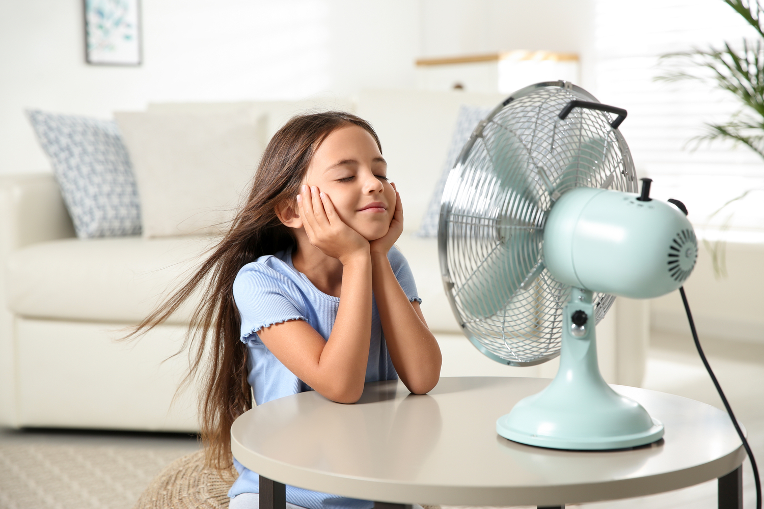 Ventilateur ou climatiseur : lequel choisir pour se rafraîchir cet été ?