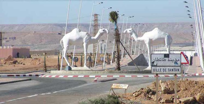 Tan-Tan : Des acteurs économiques marocains et étrangers prospectent les opportunités d'investissement
