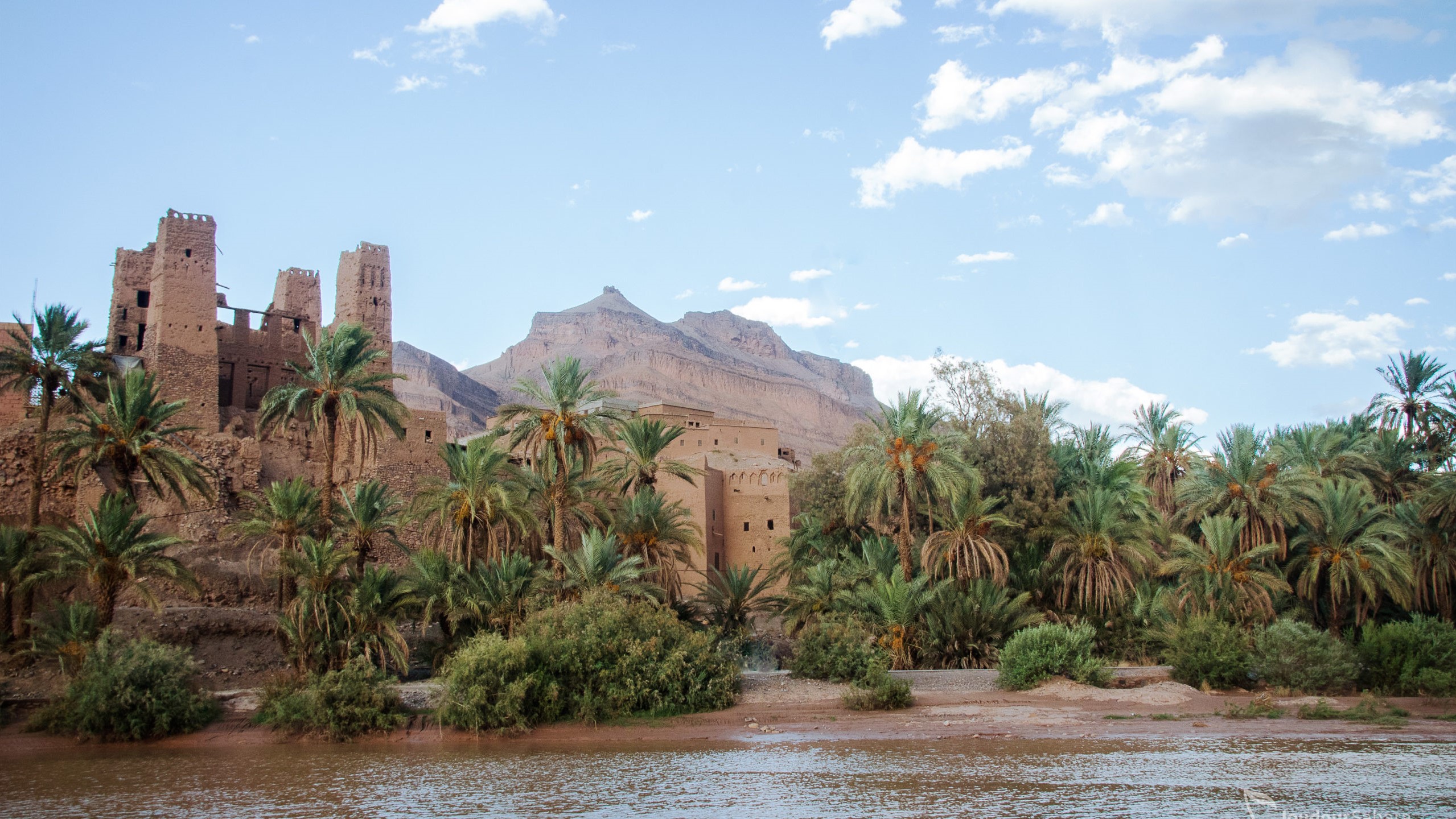 Tourisme oasien : Des écosystèmes fragiles, à développer sans dénaturer [INTÉGRAL]