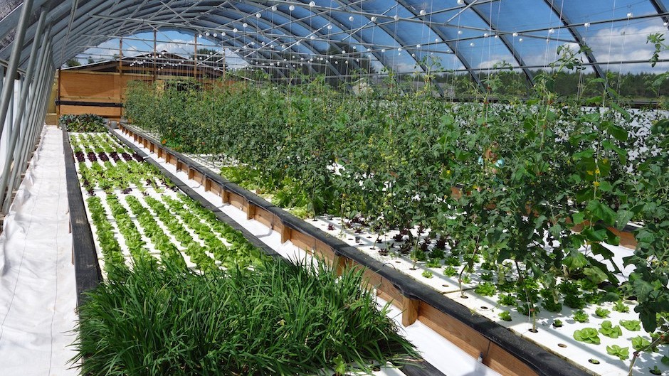 Maroc-Israël : Signature d'un mémorandum d'entente dans le domaine de l’aquaponie