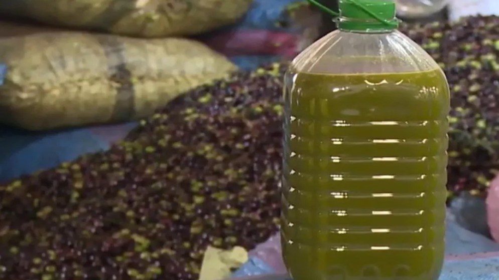 Fquih Ben Salah : Saisie de 10 tonnes d'huile d'olive frelatée