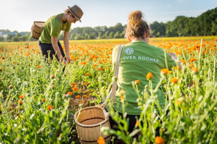 Yves Rocher plante 28.000 arbres sur le sol marocain