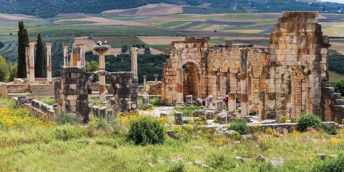 Renaissance à Volubilis : Les mosaïques de la « Cité Romaine » sublimées par une initiative Américaine