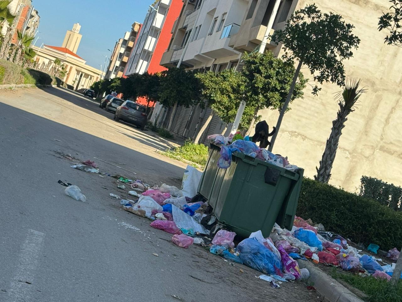 Oued Cherrat : La polémique rebondit sur les bennes à ordures