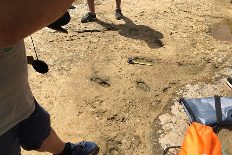 Découverte paléontologique : Petit pas pour Larache, grand pas pour l’Humanité