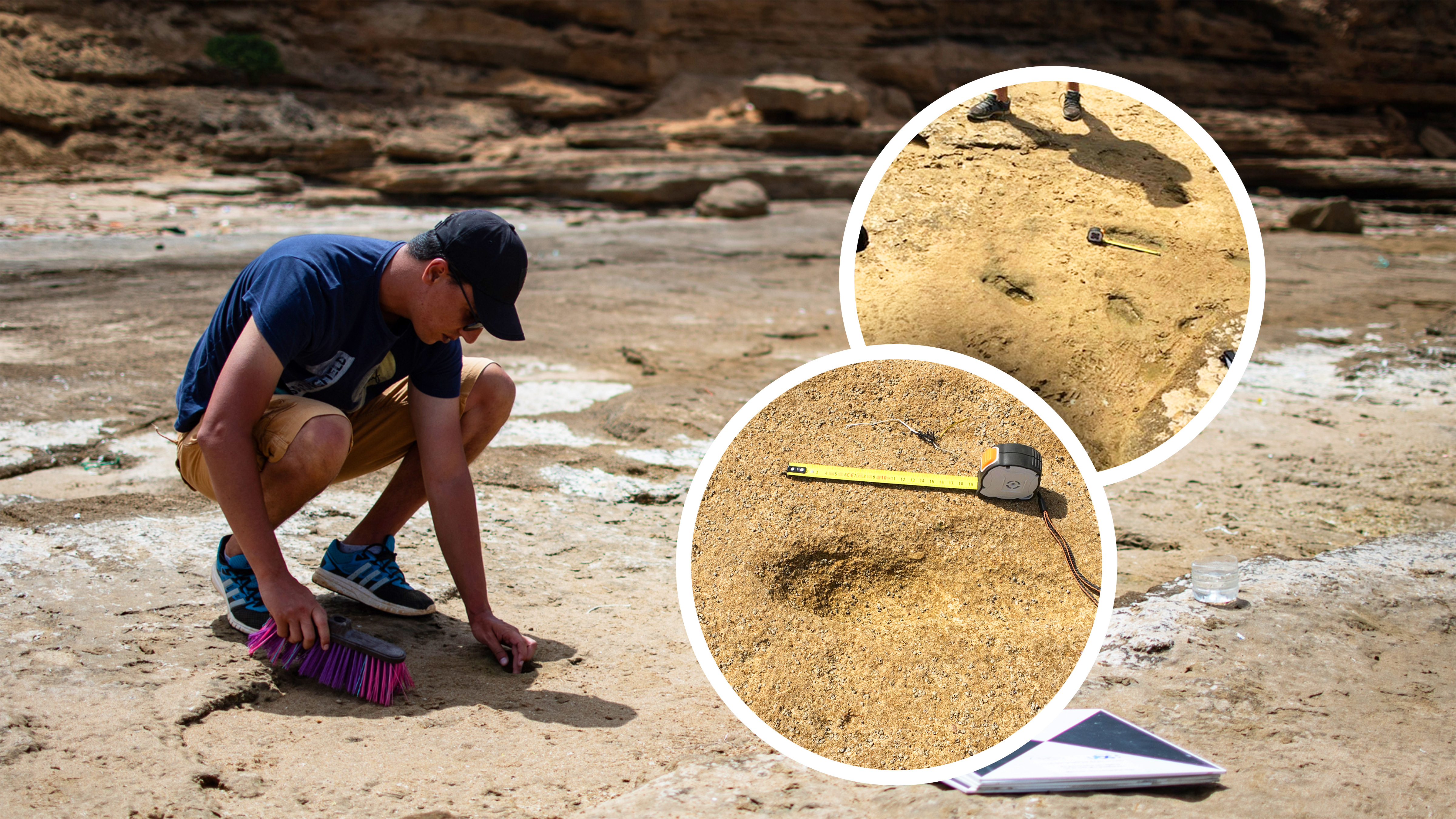 Découverte paléontologique : Petit pas pour Larache, grand pas pour l’Humanité [INTÉGRAL]