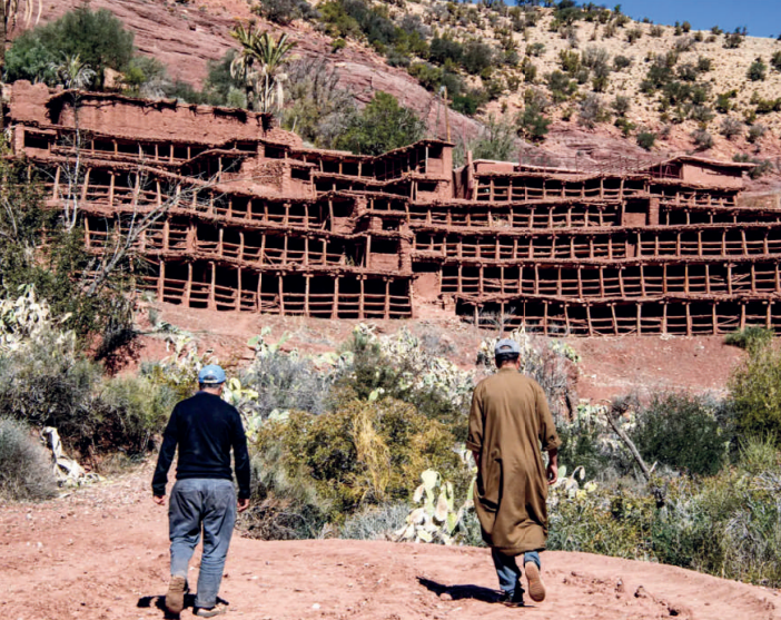 Apiculture : À la veille du Ramadan, les ruches s’effondrent