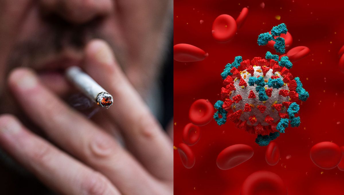 Le tabagisme nuit à l’immunité sur le long terme, selon une étude