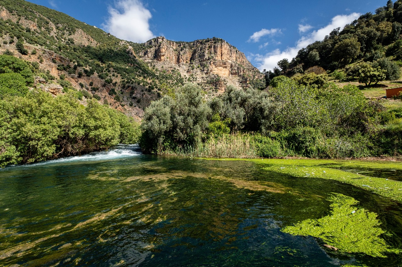 Parc national d’Ifrane : Appel à manifestation d’intérêt pour l’aménagement et la valorisation écotouristique