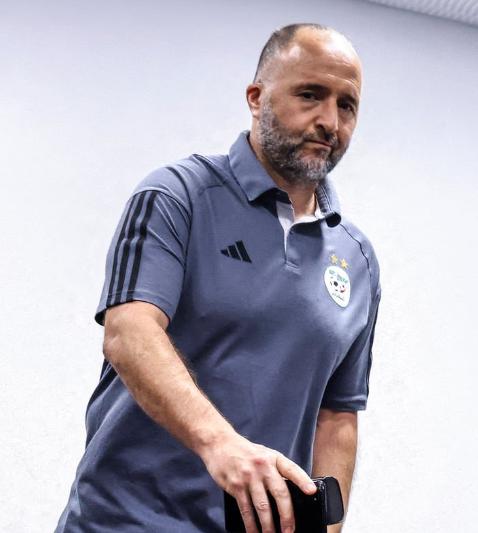 Foot africain / Licenciement abusif : Belmadi réclame 7 millions d’euros à sa Fédération.