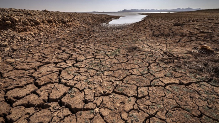 Défis climatiques : Pour une seule voix au nom du continent