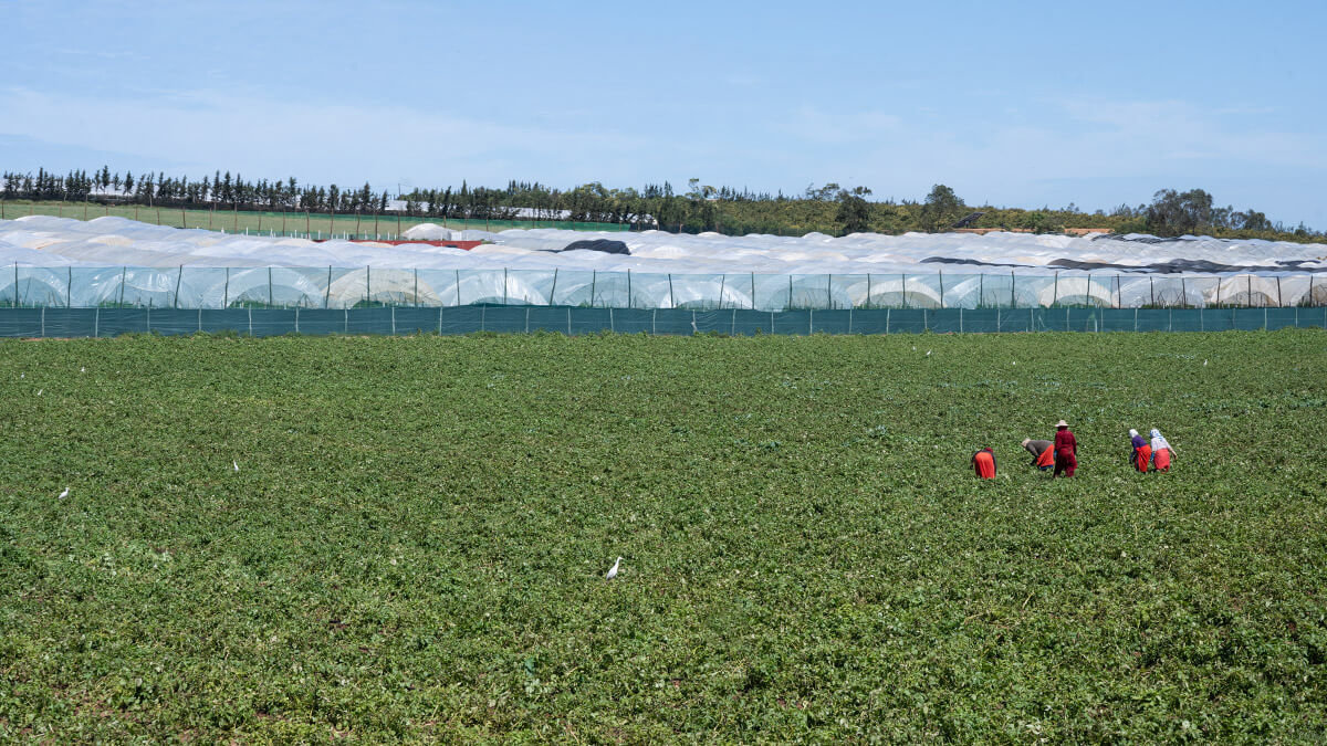 360 entreprises espagnoles délocalisent leurs activités au Maroc