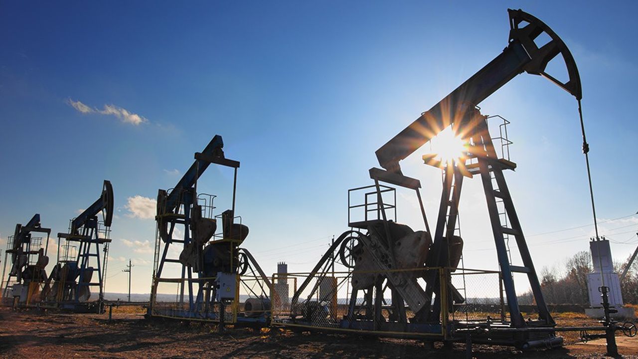 L'Arabie Saoudite annonce la découverte de nouveaux gisements de pétrole et de gaz