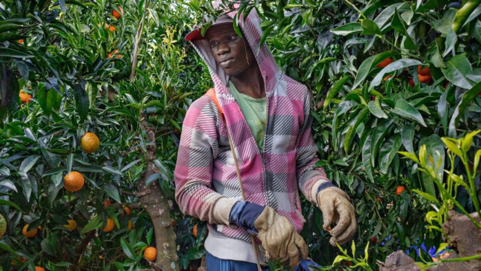 Espagne : 13 individus arrêtés pour leur implication dans le trafic de saisonniers Marocains