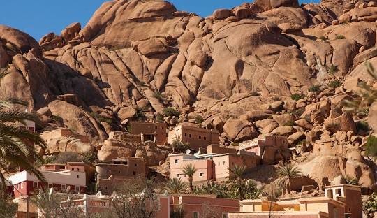 Terroir: Que pourrait-on acheter lors d'un voyage à Tafraout ?