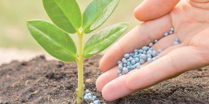 Exportation d'engrais du Maroc : sous l'effet de la concurrence, la part du Maroc sur le marché brésilien en chute