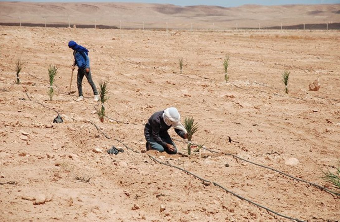 ​COP16: Le Maroc partagera à Riyad son expertise en matière de lutte contre la désertification