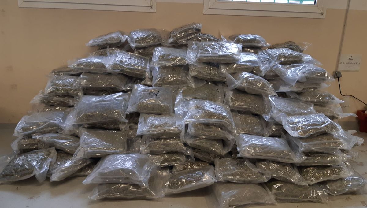 Port Tanger Med : Une quadragénaire arrêtée avec 42 kilos de haschisch dans son véhicule