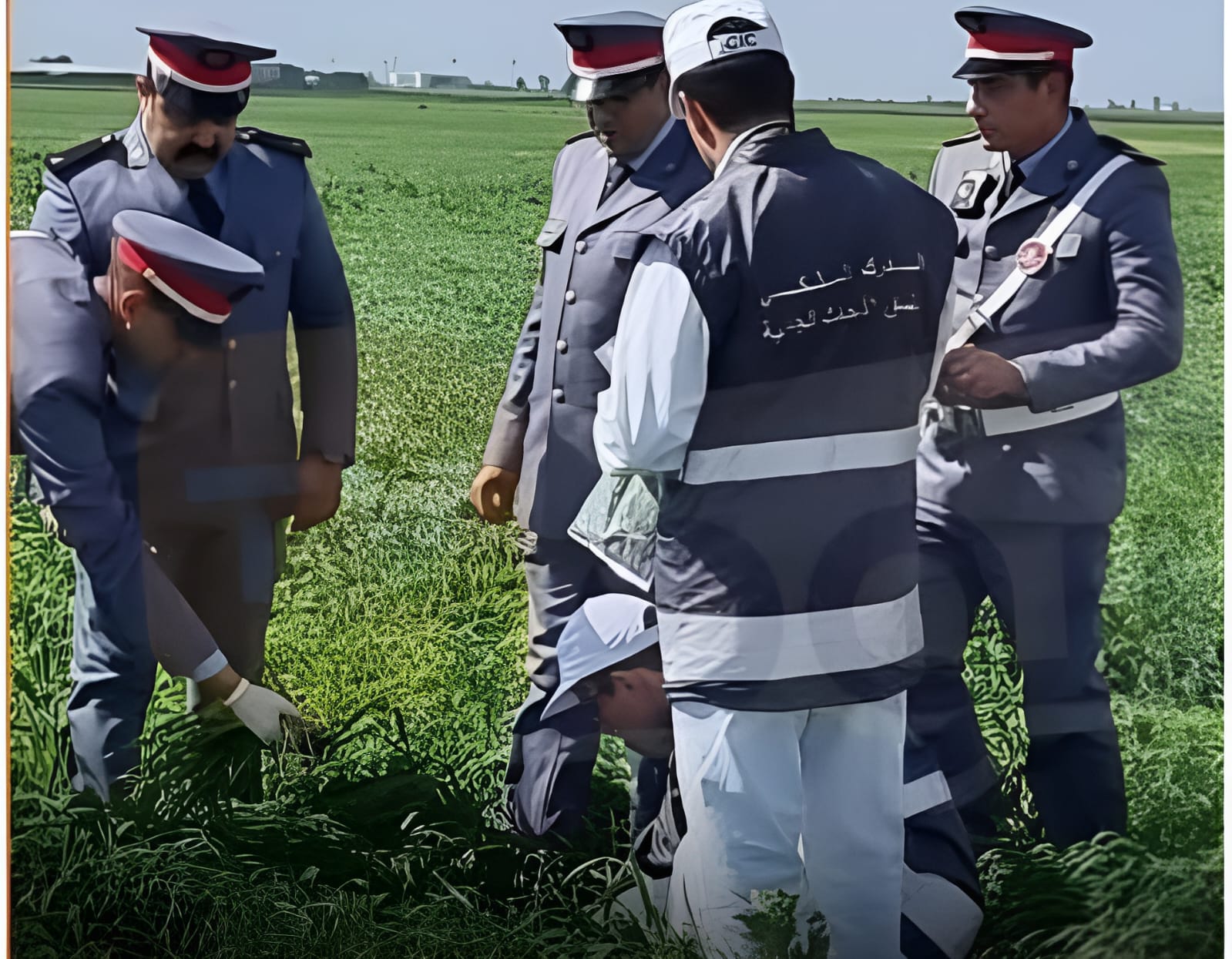 Nouasser/Casablanca : La gendarmerie royale enquête sur l'irrigation illégale avec des eaux usées