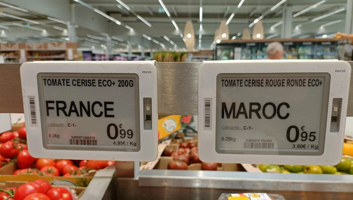 Tomates marocaines en France : Rabat et Paris visent un nouveau pacte gagnant-gagnant