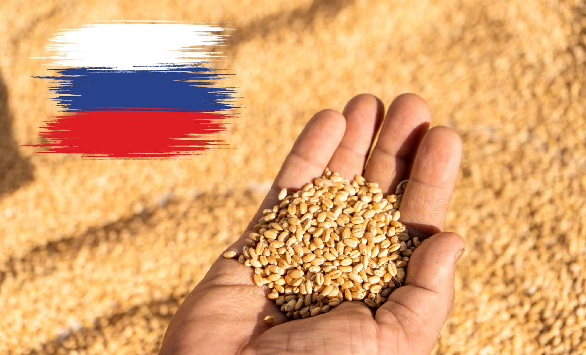 La Russie suspend l'exportation d'un lot de blé infesté vers le Maroc