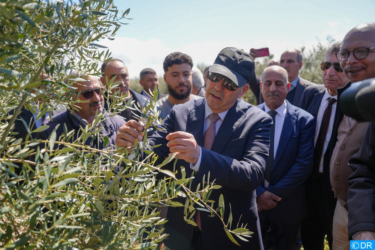 El Bouari à Meknès, El Hajeb et Ifrane pour s’enquérir de l’avancement de la campagne agricole et de l’impact des récentes précipitations