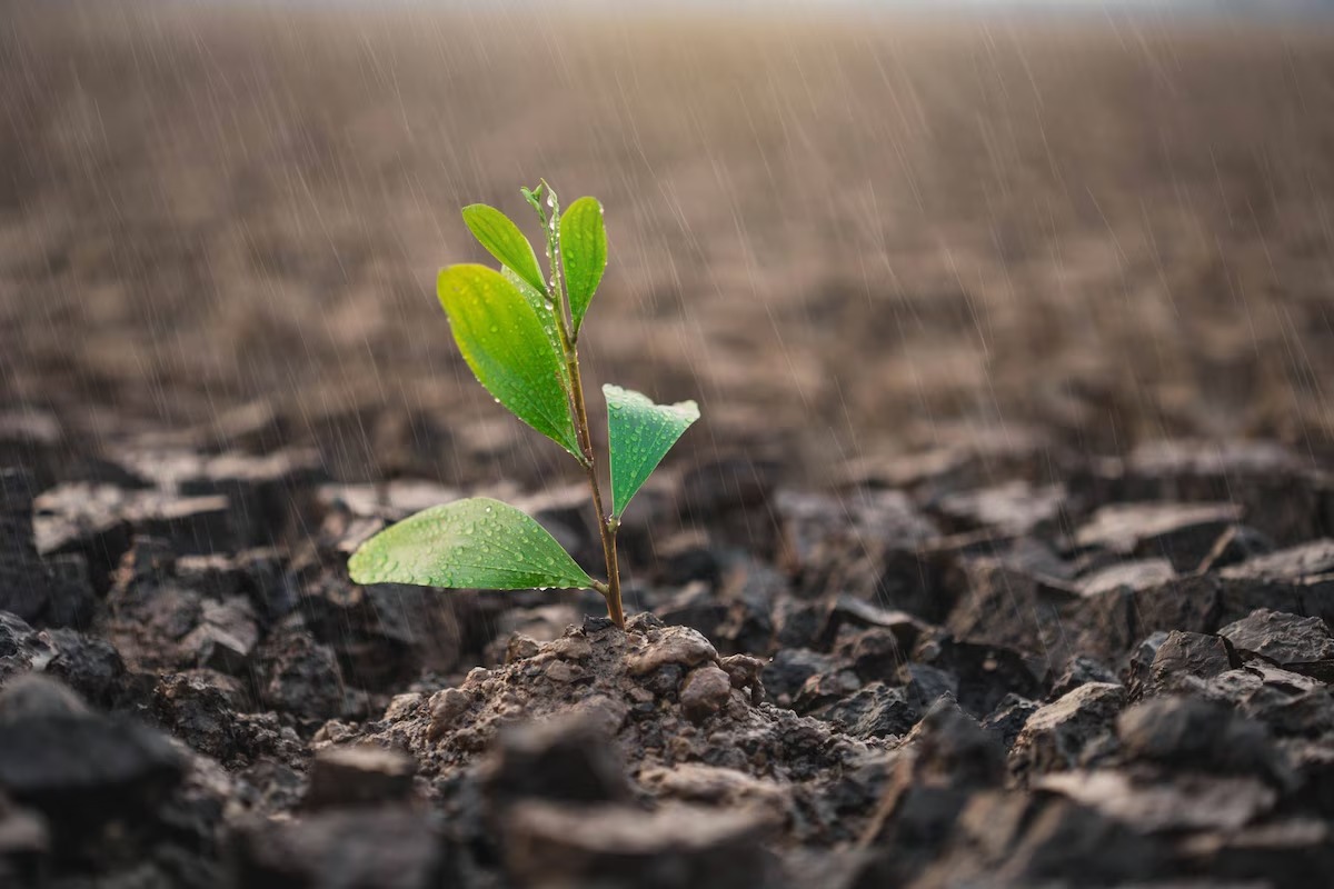 Journée mondiale de l’eau : Les cinq leçons d’une sécheresse structurelle [INTÉGRAL]