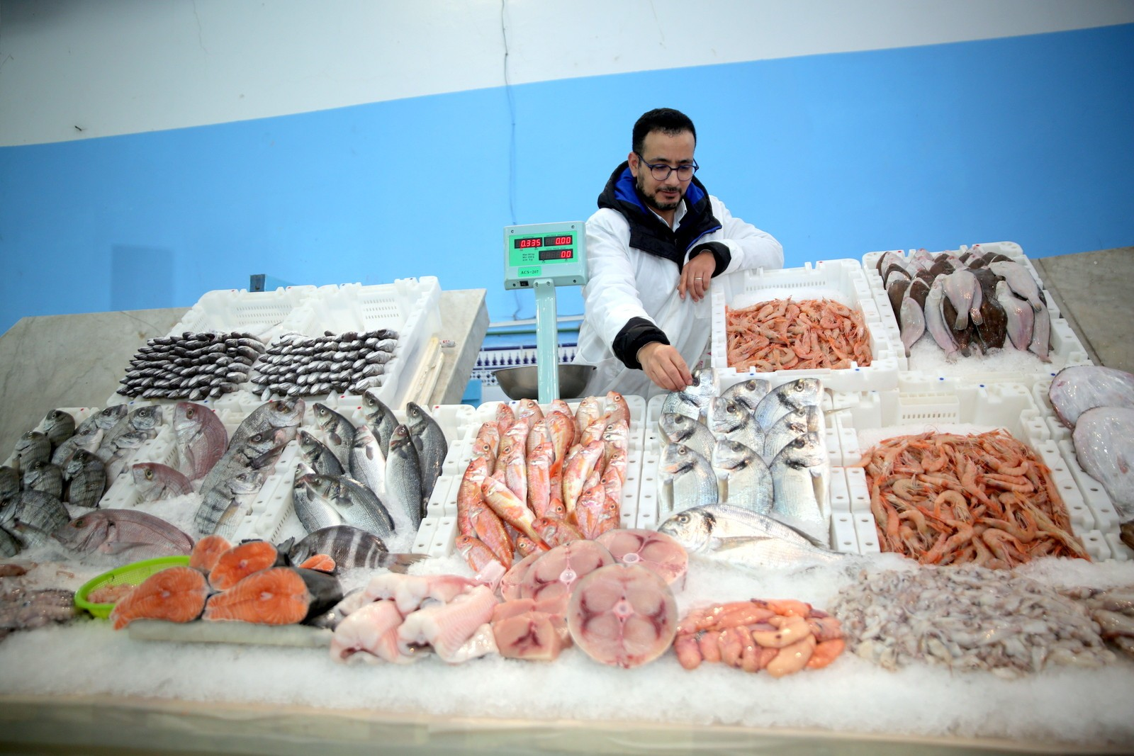 7ème édition de l'Initiative "Poisson à prix raisonnable" : distribution de plus de 4.000 T de poissons congelés