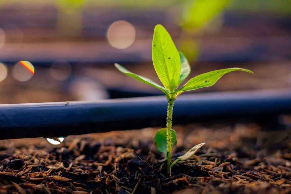 OCP Nutricrops prévoit d'augmenter sa capacité de production d'engrais de 9 MT d'ici 2028