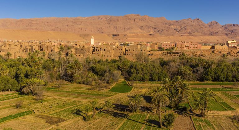 La FNSA et le CETIM appellent à la protéger le droit de grève dans le milieu agricole