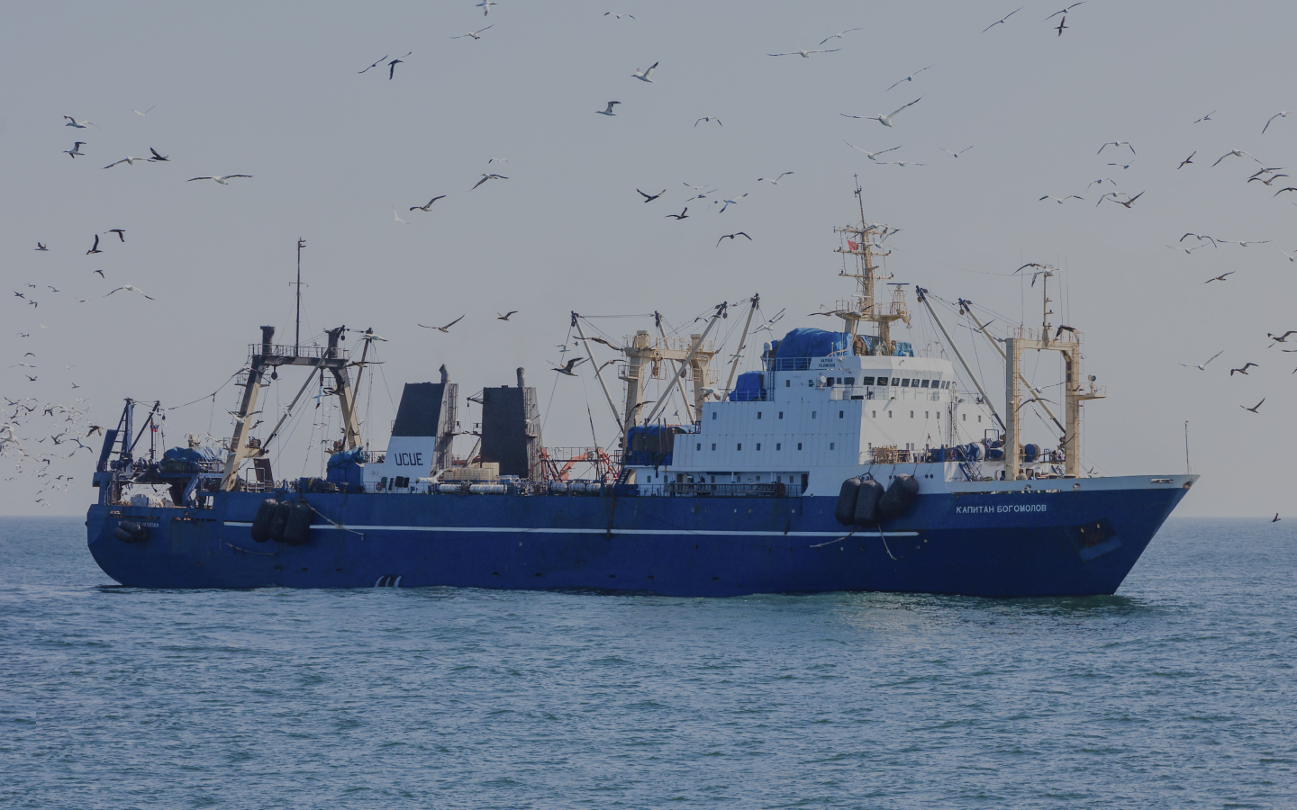 Moscou valide un accord avec le Maroc pour l’exploitation de 90 000 tonnes de poissons dans la ZEE incluant le Sahara