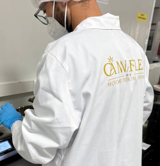 Première exportation marocaine du cannabis médical issu de la variété « Beldia »