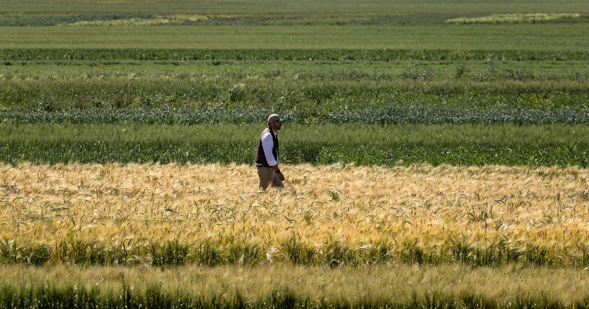 Stress hydrique, Sur-export et Souveraineté alimentaire : L’éprouvant triptyque de notre agriculture