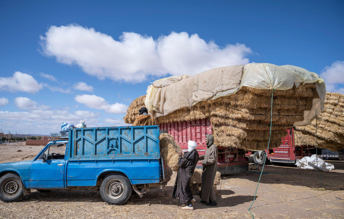 Monde rural : Ce qui empêche nos campagnes de semer des emplois [INTÉGRAL]