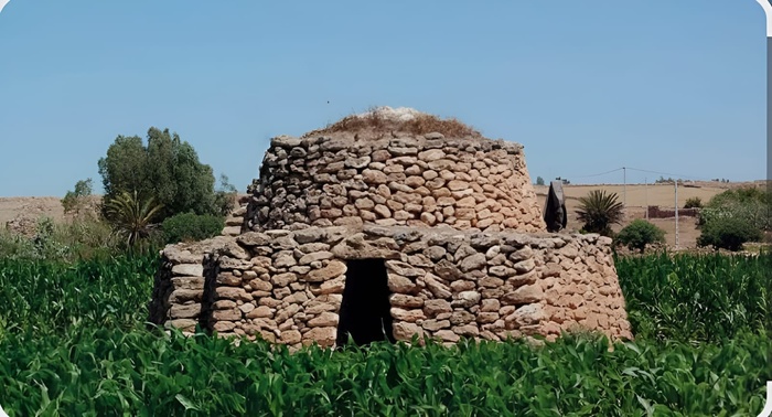 ​Reportage : Les Tazotas des Doukkala, un patrimoine en sursis, un trésor à sauver  !