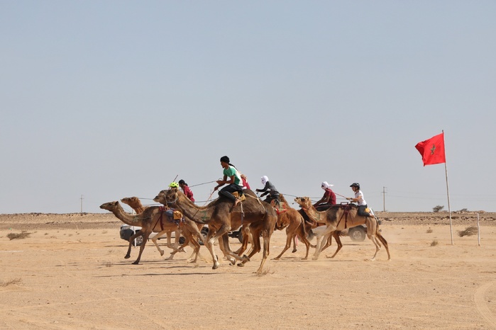 Smara commémore les 20 ans de l’Initiative Nationale pour le Développement Humain : Projets, chiffres et transformations