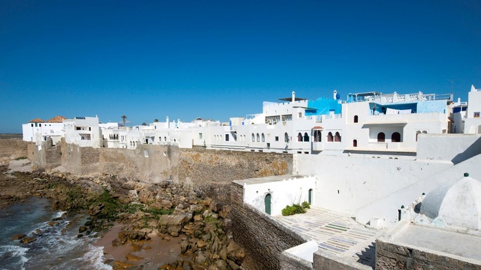 Rétro-Verso : Immersion dans l’héritage artistique du moussem d’Assilah