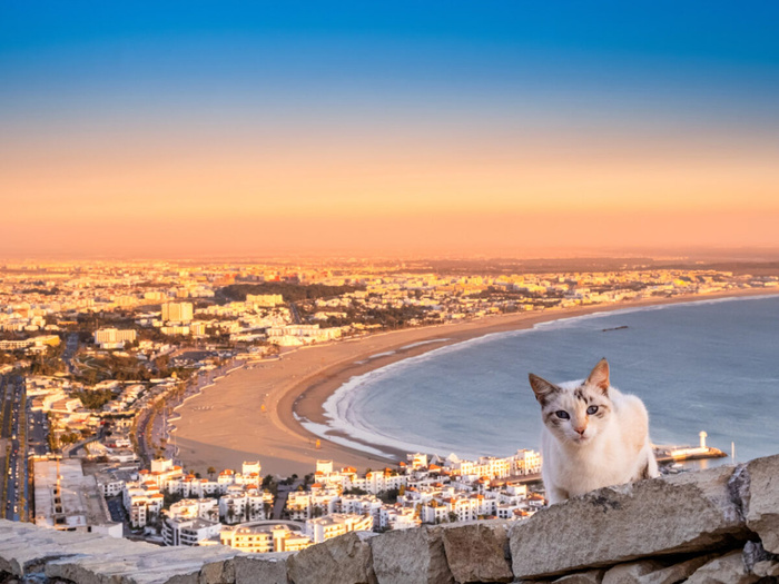 Agadir : Une structure inédite pour mettre un terme au chaos ambiant