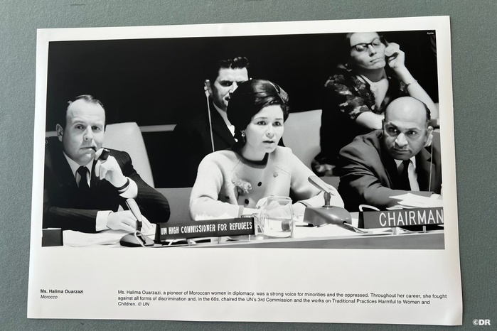 Au CDH, hommage à feue Halima Ouarzazi, doyenne des femmes diplomates africaines