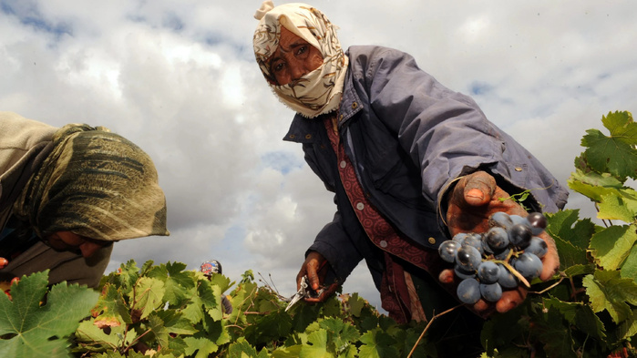 Femmes dans le milieu agricole : Un niveau d’empowerment modéré mais encourageant !
