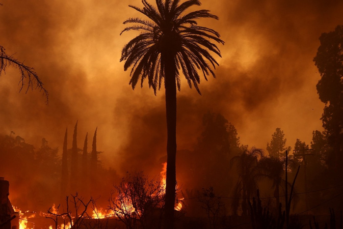 Chtouka-Aït-Baha: Plus de 6 Ha de palmiers ravagés par les flammes