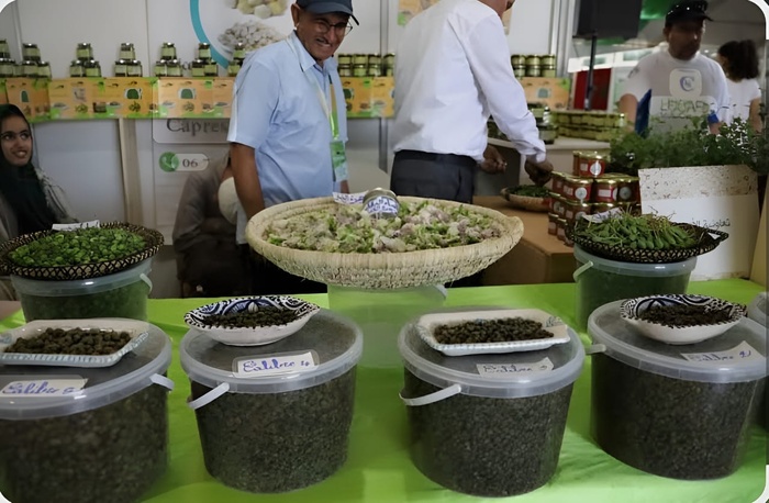 Safi : Coup d'évoi à la 7ème édition du Salon National du Câprier