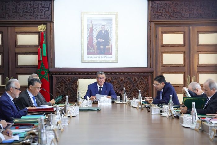 Les animaux errants au menu du prochain Conseil du Gouvernement