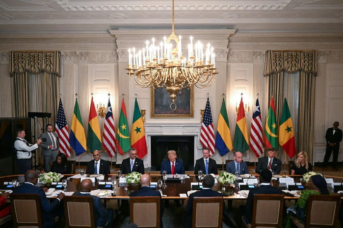 La Mauritanie propose ses minerais et ses terres rares à Donald Trump