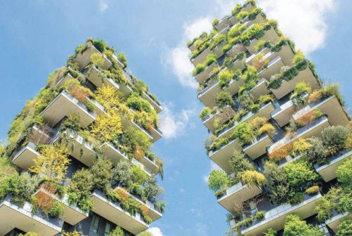 Canicule : Peut-on rendre nos bâtiments moins énergivores ?