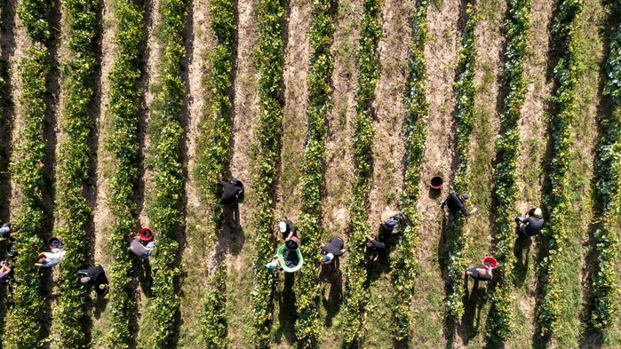 Trois personnes condamnées en France pour esclavagisme