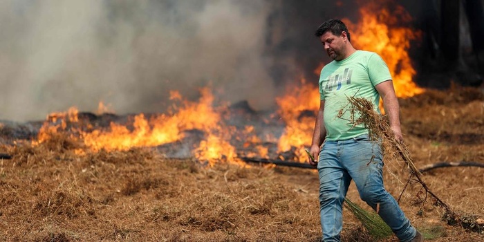 Le Portugal en état d’alerte en raison du risque d’incendies de forêt